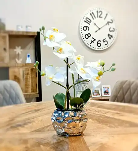 Die beste Künstliche Orchidee Decoline 33cm, Blüten weiß, Keramik Übertopf 2026 Test Bestseller Künstliche Orchidee Decoline 33cm, Blüten weiß, Keramik Übertopf