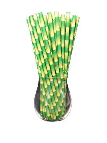 Papierstrohhalme Sam for You, Papier Trinkhalm, 120 Pack
