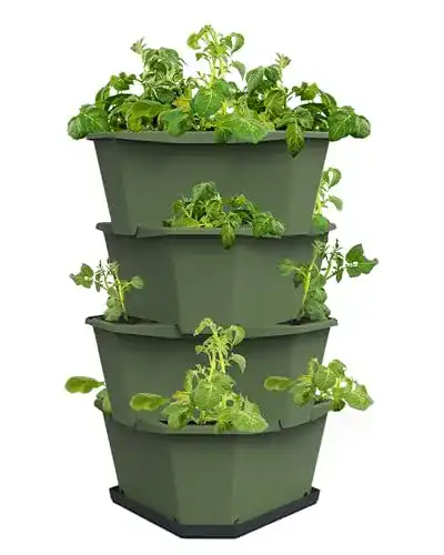 Pflanzturm GUSTA GARDEN Paul Potato Starter Kartoffelturm