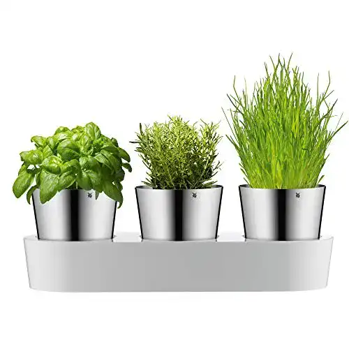 Kräutertopf WMF Kräutergarten-Set 3-teilig Pflanztopf Docht