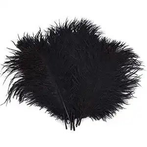Schwarze Federn Crenze 10Pcs Straußenfedern 30-35cm, schwarz