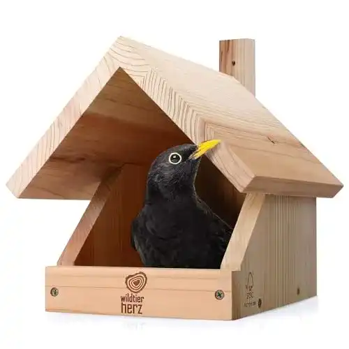 Nistkasten Rotkehlchen wildtier herz I Amsel Nistkasten