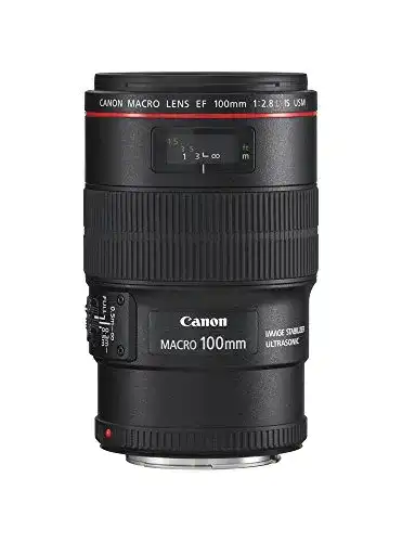 Canon-Objektiv Canon Makro- 242P045 und Porträtobjektiv EF