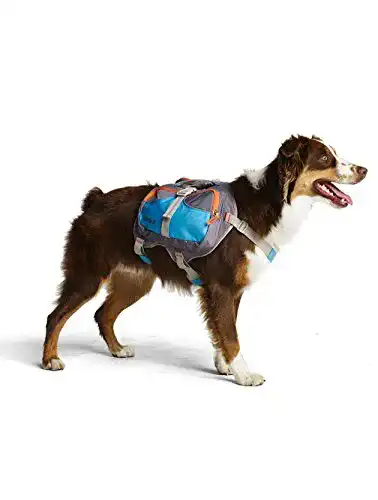 Satteltasche-Hund Cesar Millan Hunde-Rucksack, Größe M