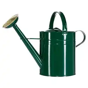 Gießkanne (10l) Dehner Gießkanne nostalgisch, 9 l, Zink, grün