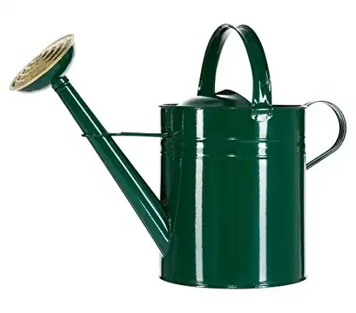 Gießkanne (10l) Dehner Gießkanne nostalgisch, 9 l, Zink, grün