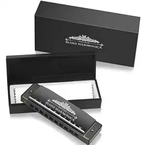Mundharmonika Anpro C, 10 Löcher 20 Tunes Blues Harmonika