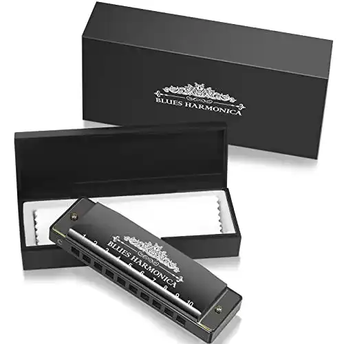 Mundharmonika Anpro C, 10 Löcher 20 Tunes Blues Harmonika