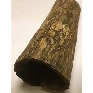 Welshöhle catappa-leaves Seemandelbaumrindenröhre Ø 3cm