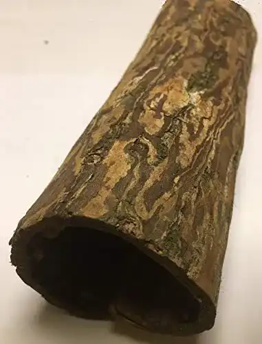 Welshöhle catappa-leaves Seemandelbaumrindenröhre Ø 3cm
