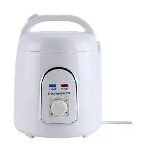 Dampfgenerator chi-enterprise Dampferzeuger, 1,5 Liter 850 Watt