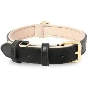 Hundehalsband Welpen HEELE gepolstert und echtes Leder