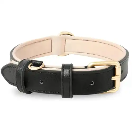 Hundehalsband Welpen HEELE gepolstert und echtes Leder