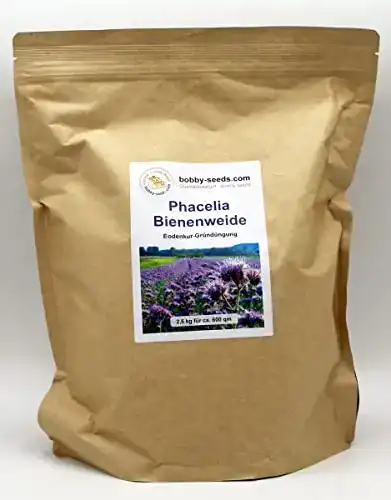 Phacelia-Samen Gärtner’s erste Wahl! bobby-seeds.com Bodenkur
