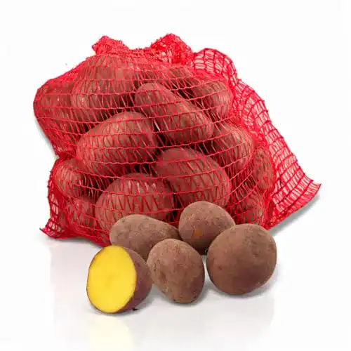 Kartoffeln FRUCHTVERSAND24 ® Laura, Speise, 25kg