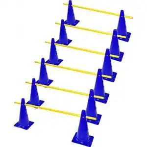 Hürden RHINOS sports Steckset 6er, 12 Blaue Kegel: 30cm