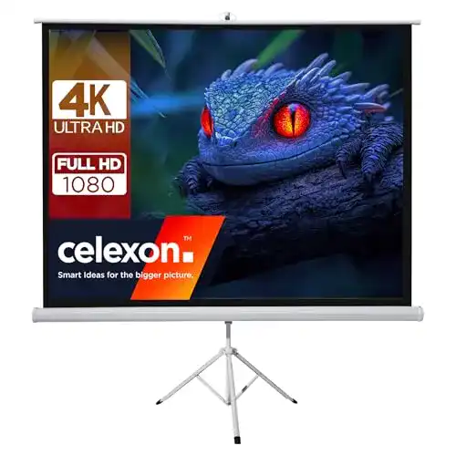Stativ-Leinwand celexon Basic Mobile Beamer- in wenigen Minuten