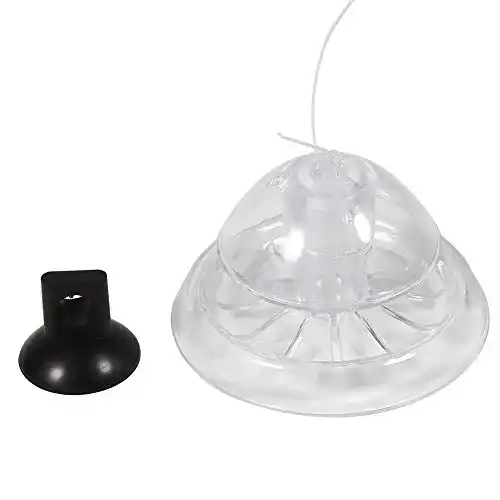 Die beste Schneckenfalle Aquarium HEEPDD Schneckenfalle, transparenter 2026 Test Bestseller Schneckenfalle Aquarium HEEPDD Schneckenfalle, transparenter