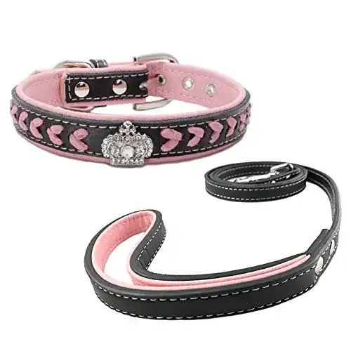 Hundehalsband Welpen Newtensina Hundehalsband u. Leine Set