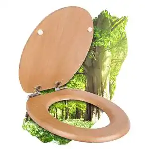Calmwaters-WC-Sitz Calmwaters ® WC Sitz mit Absenkautomatik