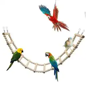 Vogelspielzeug Dnoifne Vogelleiter-Brückenspielzeug, hölzern