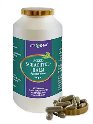 Zinnkraut-Kapseln VITAIDEAL Ackerschachtelhalm 360 Kapseln