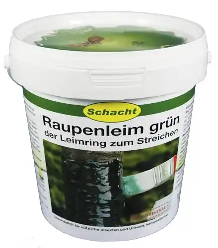 Raupenleim Schacht Grün 1kg Eimer