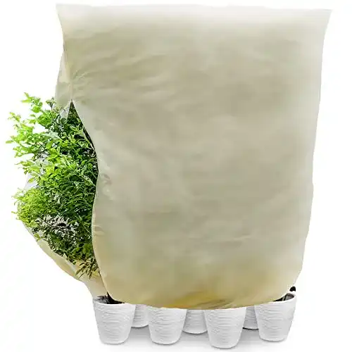 Tomatenhaube Yorbay 80g Winterschutz für Kübelpflanzen