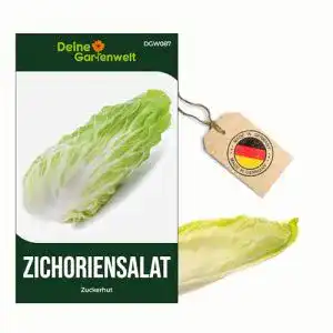 Zuckerhut-Samen Deine Gartenwelt Zichoriensalat