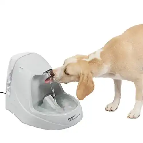 Die beste Trinkbrunnen Hund PetSafe Drinkwell Trinkbrunnen Platin, 5 L 2026 Test Bestseller Trinkbrunnen Hund PetSafe Drinkwell Trinkbrunnen Platin, 5 L
