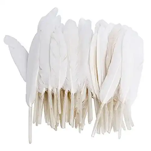 Gänsefedern HugeStore 100 Stück Echte Naturfedern Gans Federn