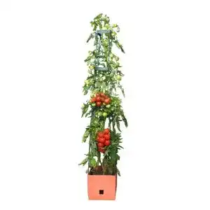 Tomatentopf Bio Green Pflanzen-Aufzucht-Turm „Maxitom“