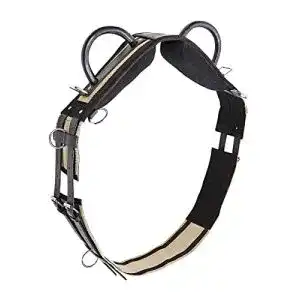Voltigiergurt Busse Longiergurt DOUBLE, Shetty, schwarz