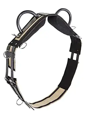 Die beste Longiergurt Busse DOUBLE, Warmblut, schwarz 2026 Test Bestseller Longiergurt Busse DOUBLE, Warmblut, schwarz