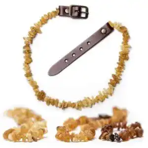 Bernstein-Halsband Hund ChronoBalance ® Leder-Verschluss