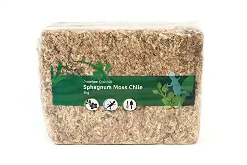 Sphagnum-Moos sphagnum-shop.com Sphagnum Moos