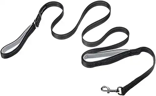 Hunde-Joggingleine Amazon Basics Hundeleine mit zwei Schlaufen