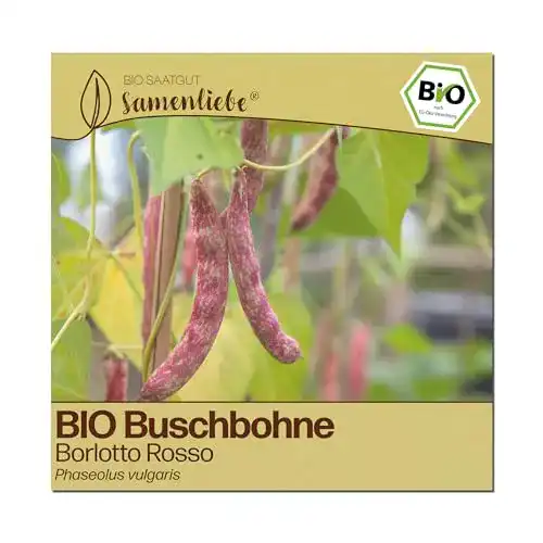 Buschbohnen-Samen Samenliebe BIO alte Sorte Borlotto Rosso