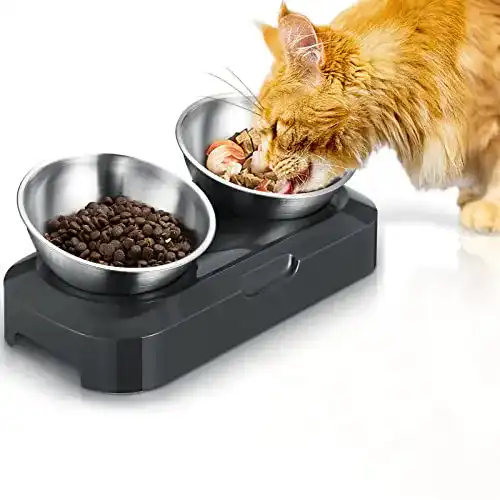 Ergonomischer Futternapf Katze PewinGo