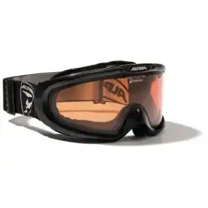 Skibrille für Brillenträger Alpina Erwachsene Skibrille Magnum