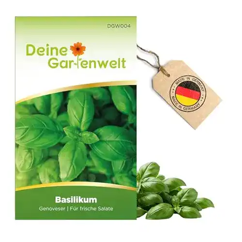 Basilikum-Samen Deine Gartenwelt Basilikum Genoveser