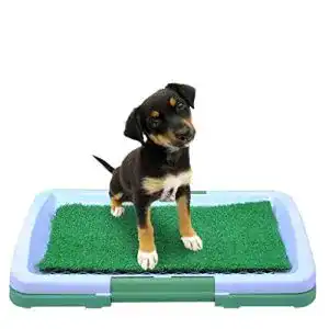 Hundetoilette ISO TRADE Welpentoilette 922