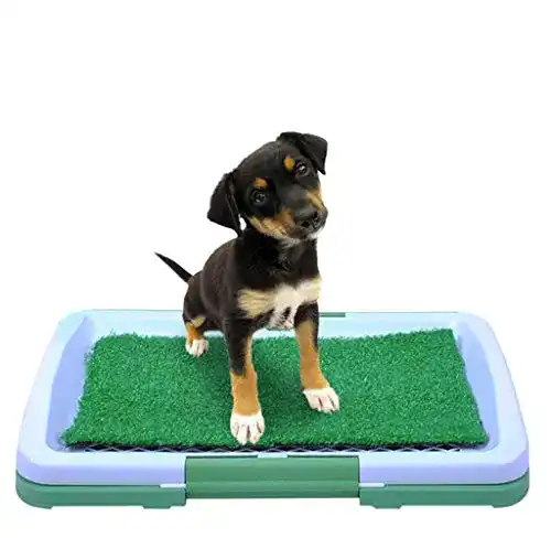 Hundetoilette ISO TRADE Welpentoilette 922
