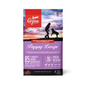 Orijen-Hundefutter Orijen Puppy Large Breed Whole Prey 11,4 kg