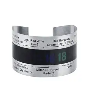Weinthermometer FTVOGUE Edelstahl Wein Temperatur Armband