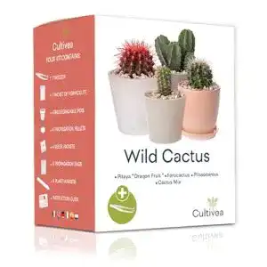 Kakteen-Samen Cultivea, Mini “Ready to Grow” Kaktus-Set