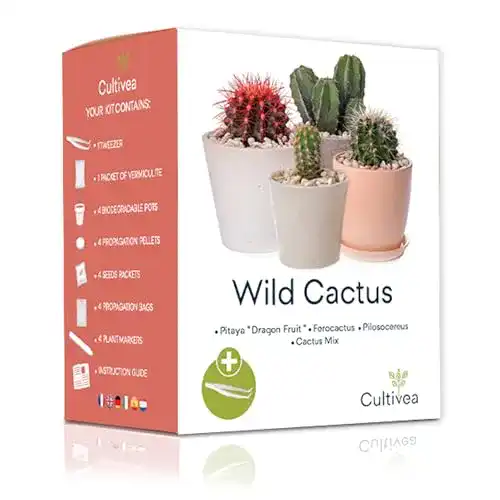 Kakteen-Samen Cultivea, Mini “Ready to Grow” Kaktus-Set