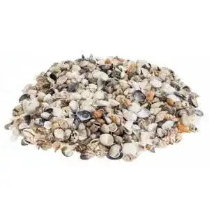 Dekomuscheln NaDeco Muschelmix ‘Small’, ca. 1kg | Bastelmuscheln