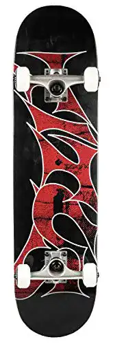 Titus-Skateboard TITUS Skateboard Stained Schranz Größe 8