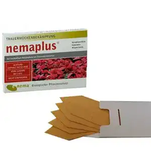 Nematoden nemaplus ® SF zur Bekämpfung von Trauermücken